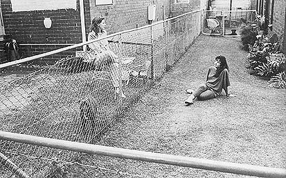 [Foto: © Graeme Williams/South Photographs]